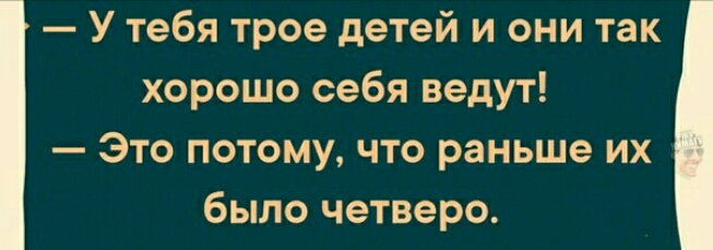 У тебя трое детей и они так хорошо себя ведут Это потому что раньше их было четверо