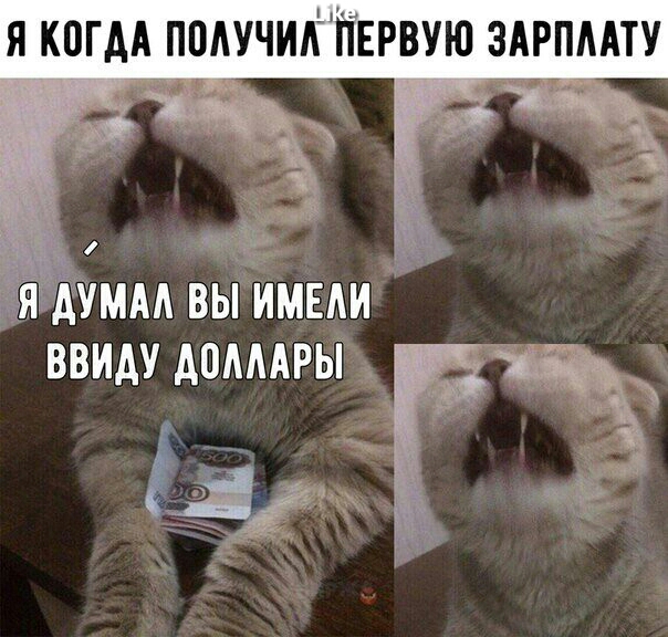 Я КПГАА ПОАУЧИАЫИЕРВУЮ ЗАРПААТУ АУМАА ВЫ ИМЕАИ ВВИАУ АОАМРЫ