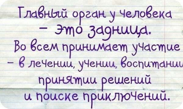 Тменьщ оРган у Челогека Это даэнццд Во есеМ пРцншидет уЧастпце ЛеЧешш уЧеныц еоспшпсхнць _ _7пгтцы_вешенцй ц поиске пРцКлЮЧёшй