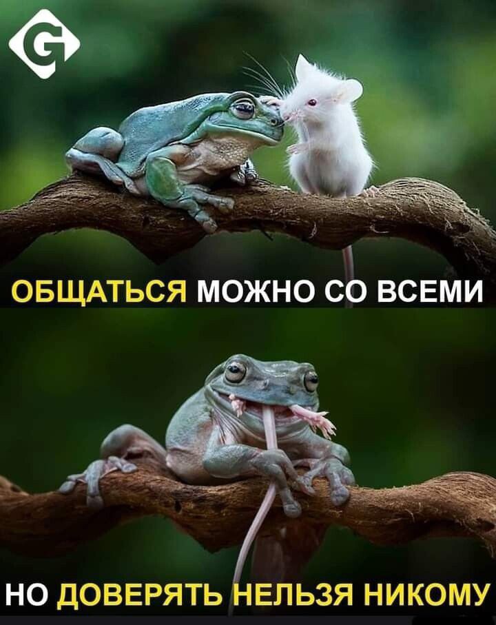 НО ДОВЕРЯТЬ ЕПЬЗЯ НИКОМУ