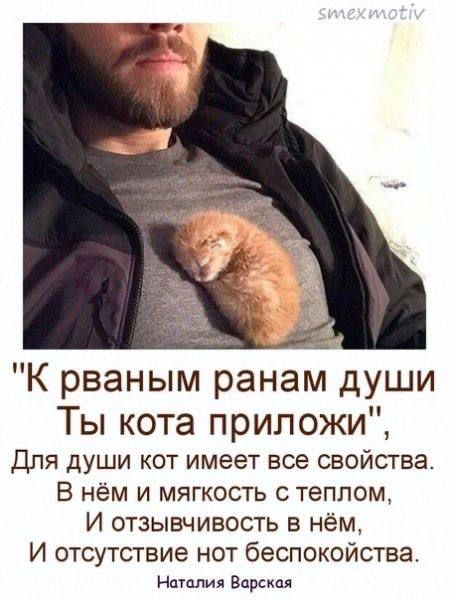 К рваным ранам души Ты кота приложи Для души кот имеет все свойства В нём и мягкость с теплом И отзывчивость в нём И отсутствие нот беспокойства Наталия Варская