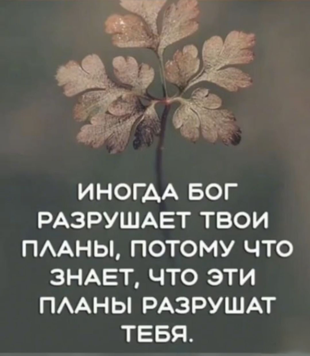 ИНОГДА БОГ РАЗРУШАЕТ ТВОИ ПЛАНЫ ПОТОМУ ЧТО ЗНАЕТ ЧТО ЭТИ ПЛАНЫ РАЗРУШАТ ТЕБЯ