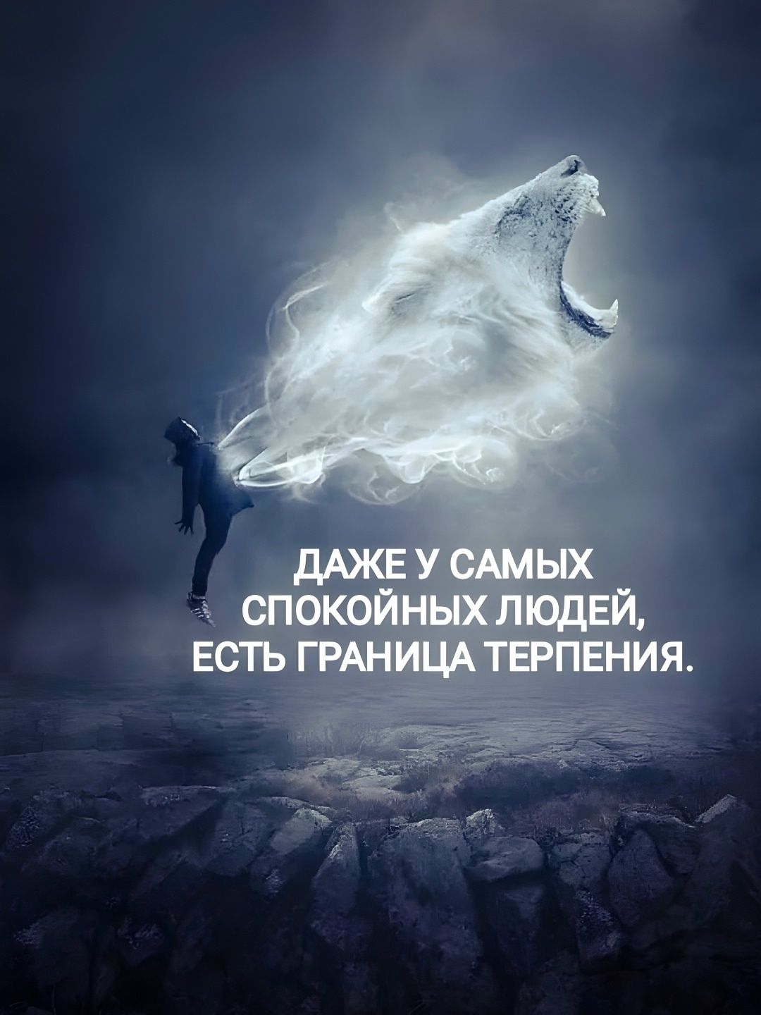 ДАЖЕ У САМЫХ СПОКОЙНЫХ ЛЮДЕЙ, ЕСТЬ ГРАНИЦА ТЕРПЕНИЯ.