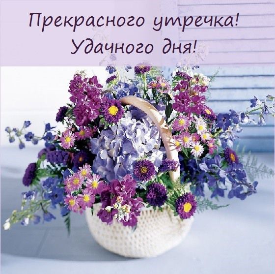 Прекрасного утречка Удачного дня