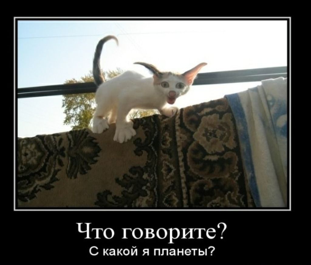 Что говорите С какой я планеты