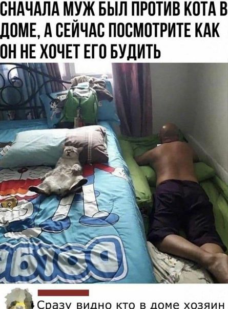 СНАЧАЛА МУЖ БЫЛ ПРОТИВ КОТА В 0МЕ А СЕИЧАС ППБМОТРИТЕ КАК ПН НЕ ХПЧЕТ ЕП БУДИТЬ