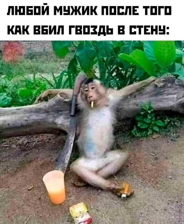 ЛШЕПЙ МНЖИК ПППЛЕ ТПГП