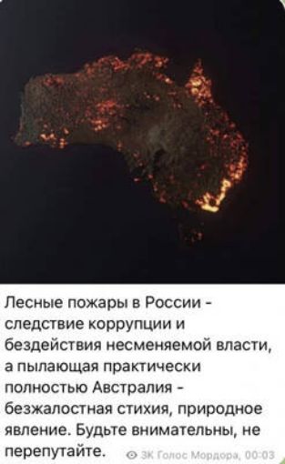 Лесные пожары в России следствие коррупции и бездействия иесменяемой власти а пылающая практически полностью Австралия безжалостная стихия природное явление Будьте внимательны не перепутайте