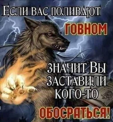 л эЭЗАСдТЕхвіыщи Кжозщд ь сэя