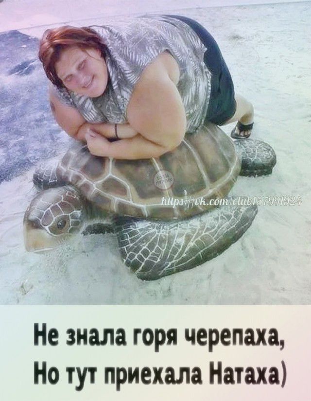 Не знала горя черепаха Но тут приехала Натаха