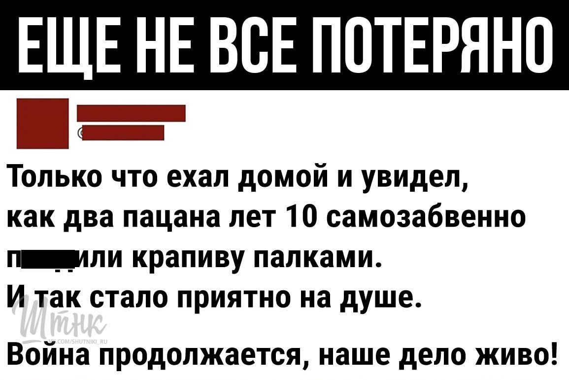 ЕЩЕ НЕ ВСЕ ПОТЕРЯНП _ _ Только что ехал домой и увидел как два пацана лет 10 самозабвенно ПЛЛИ крапиву палками И так стало ПРИЯТНО на душе Война продолжается наше дело живо