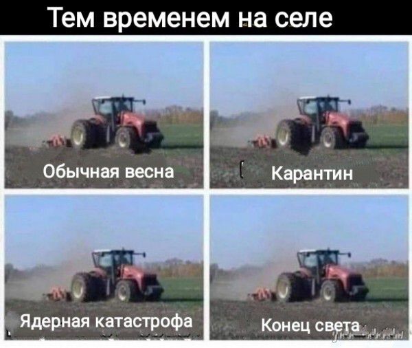 Тем временем на селе