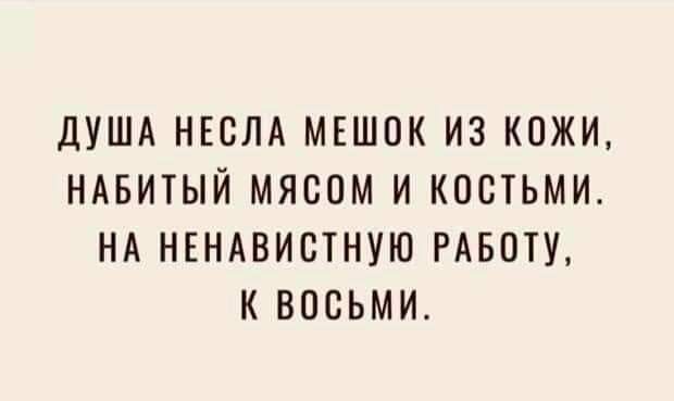 дУША НЕСЛА МЕШОК ИЗ КОЖИ НАБИТЫЙ МЯБОМ И КОСТЬМИ НА НЕНАВИСТНУЮ РАБОТУ К ВОСЬМИ