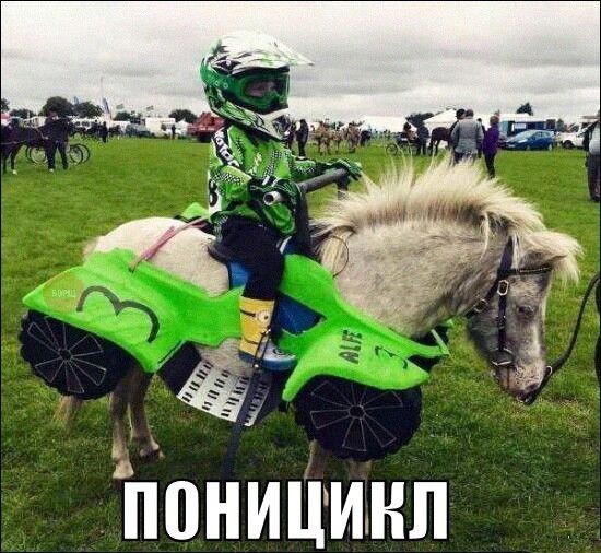 Ъ ПВНИЦИНЛ