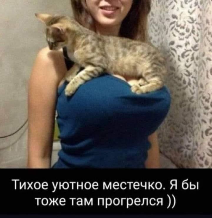 Тихое уютное местечко Я бы тоже там прогрелся