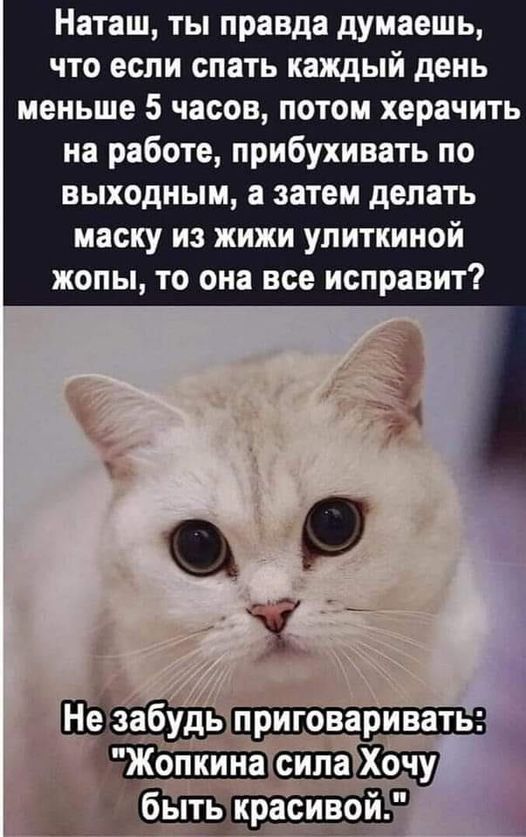 Наташ ты правда думаешь что если спать каждый день меньше 5 часов потом херачить на работе прибухивать по ВЫХОДНЫМ а ЗЗТЕМ делать маску ИЗ ЖИЖИ УЛИТКИНОЙ ЖОПЫ ТО она все исправит диньР