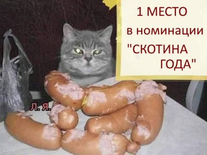 Скотина. Шо не съем то понадкусываю. Кот закусал все сосиски.