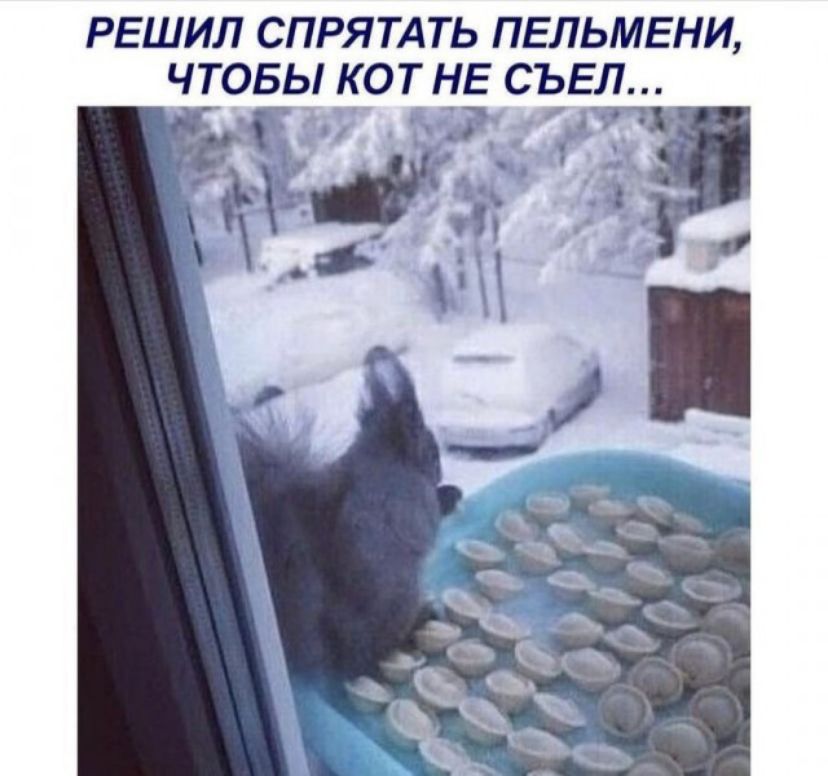 РЕШИЛ СПРЯТАТЬ ПЕЛЬМЕНИ ЧТОБЫ КОТ НЕ СЪЕЛ