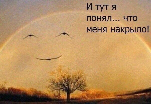 И тут я понял что меня накрыло