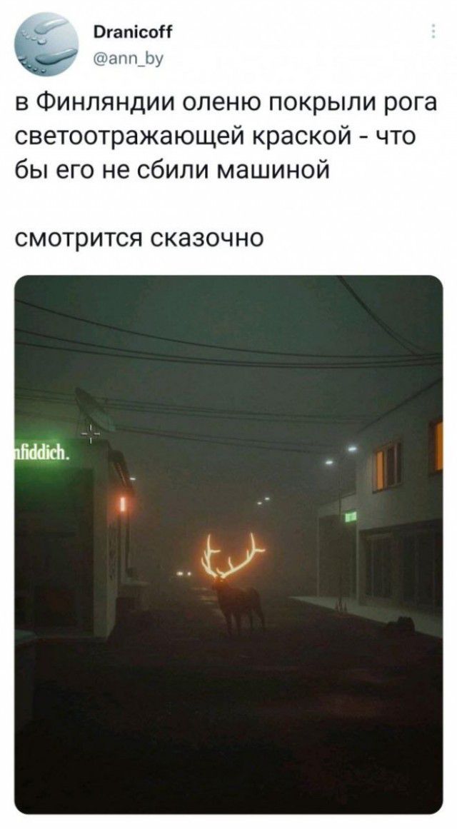Отатм!со?  Аппбу в финляндии оленю покрыли рога светоотражающей краской  что бы его не сбили машиной смотрится сказочно