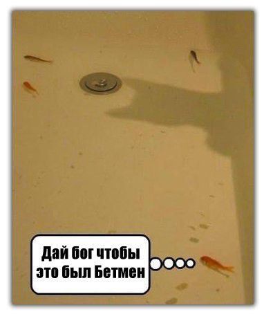 дай тп чтппы это был Бэтти