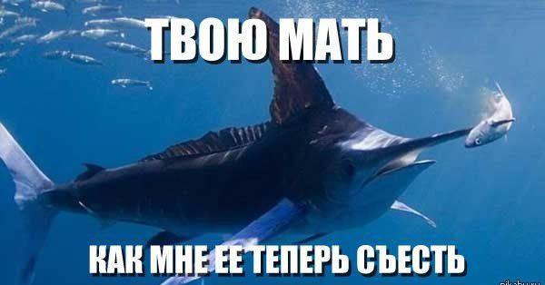 к ШШШППЕРЬ ВЪЕШЬ _