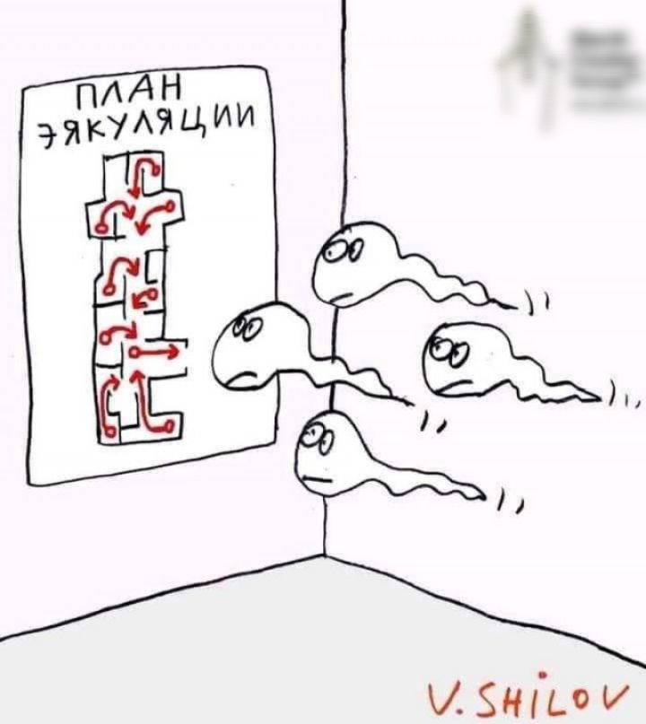М нгьо и