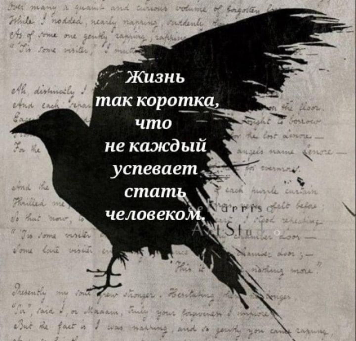 так корогдк что не каэісд ый успевает ж