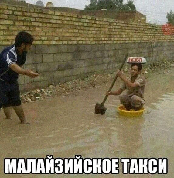 мдпдйзийснопднеи