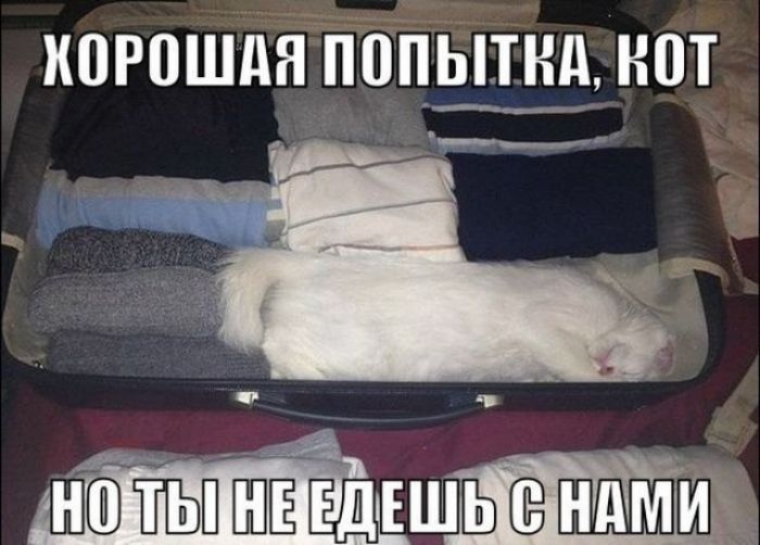когпшдн попытки нот ___ ндЁмЁиёъ_
