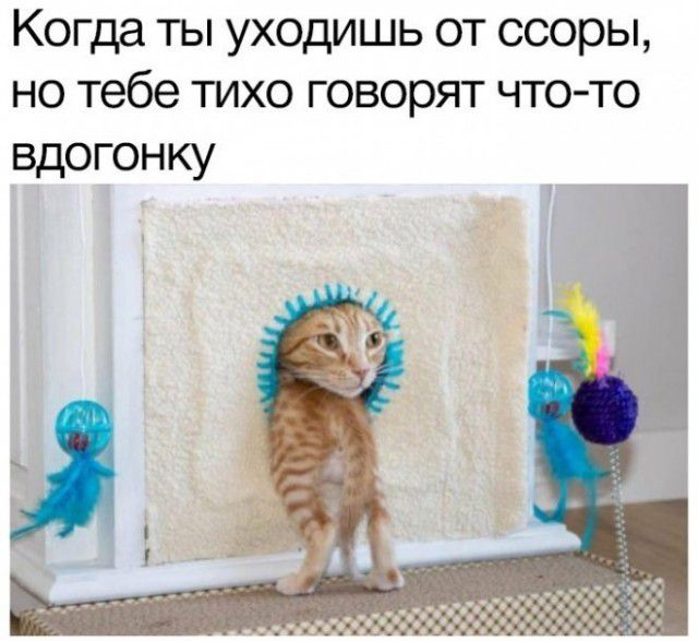 Когда ты уходишь от ссоры но тебе тихо говорят чтото вдогонку