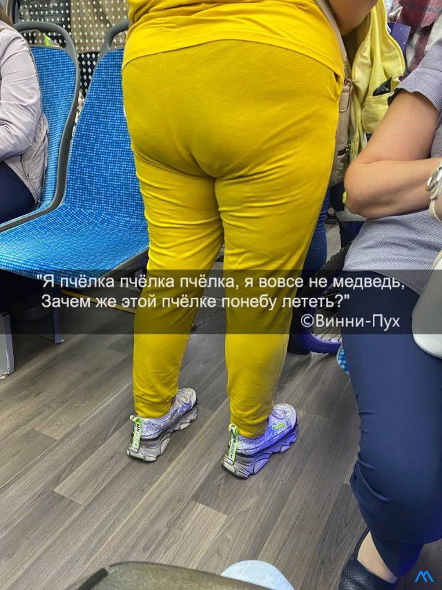 Я пч пка п виа пч лка я вовсе не медведь Зачем же этойПчёпкепонебу лететь Винни Пух _ чи