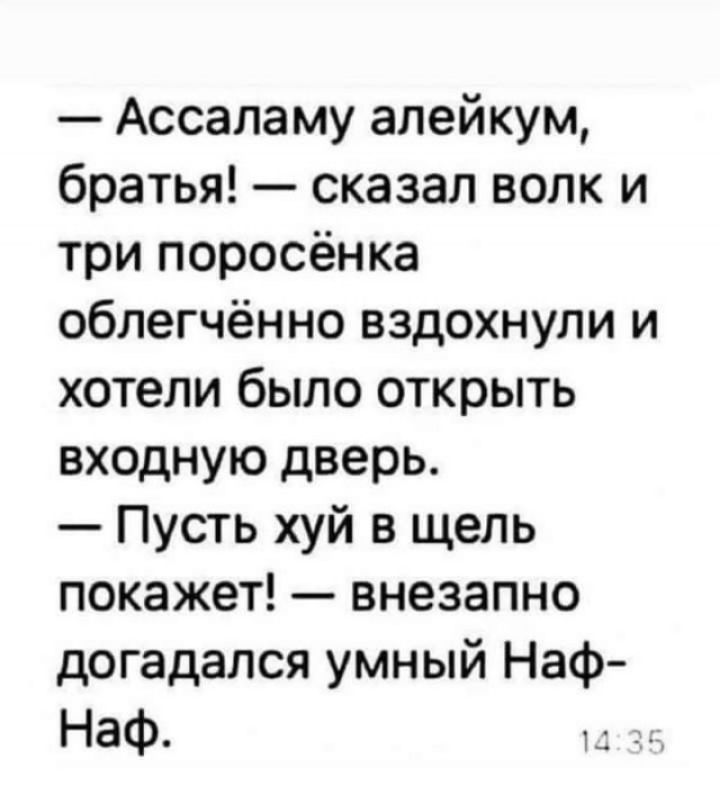 Ассаламу алейкум братья сказал волк и три поросёнка облегчённо вздохнули и хотели было открыть входную дверь Пусть хуй в щель покажет внезапно догадался умный Наф Наф 1