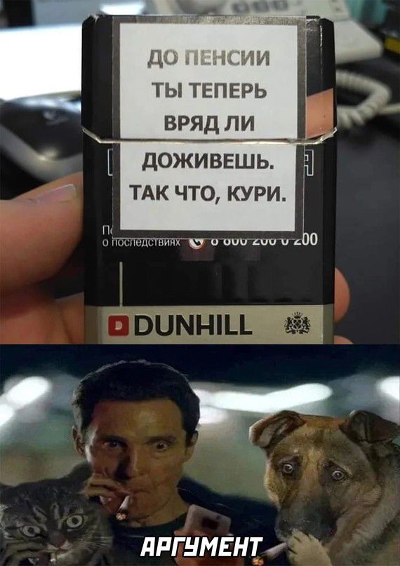 ДЦ а ШИМ ТЫ ТЕПЕРЬ ВРЯД ЛИ ДОЖИВЕШЬ ТАК ЧТО КУРИ _ ПРГНМЕНТ