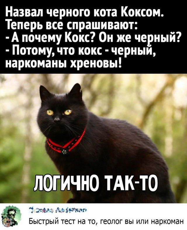 Назвал черного кота Коксом Теперь все спрашивают А почему Кокс Он же черный Потому что кокс черныи наркоманы хреновы 97 ЛОГИЧНО ТАК ТО м Быстрый тест на ТО геолог вы или наркоман