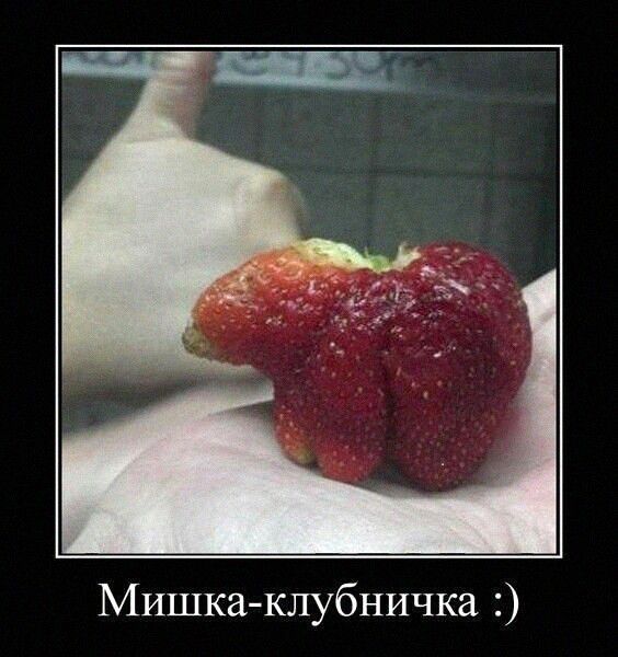 Мишкаклубничка