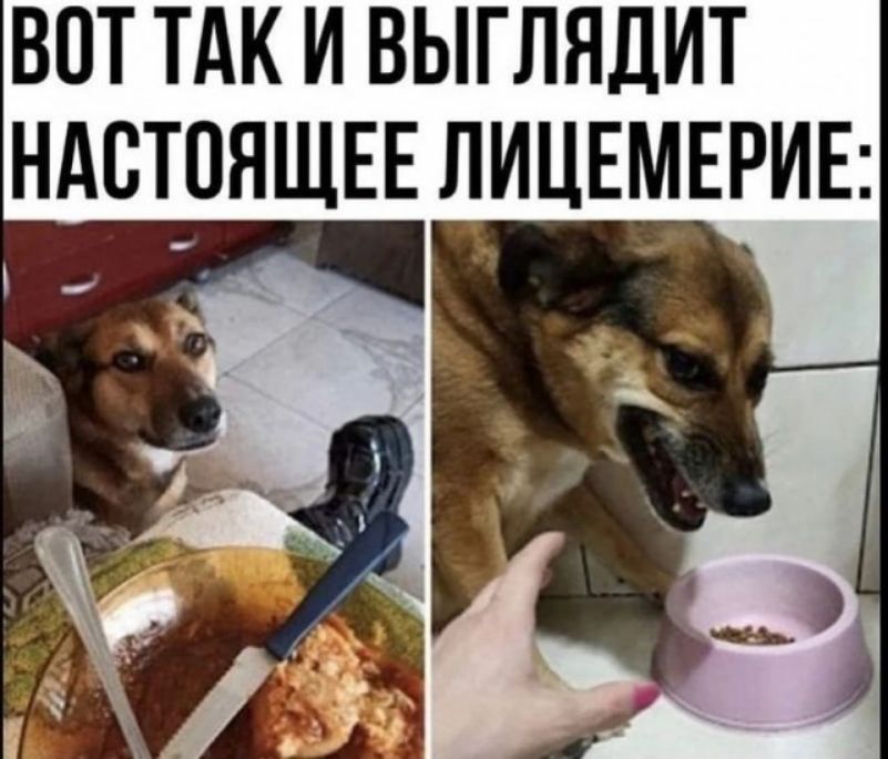 ВОТ ТАК И ВЫГЛЯДИТ НАСТОЯЩЕЕ ЛИЦЕМЕРИЕ