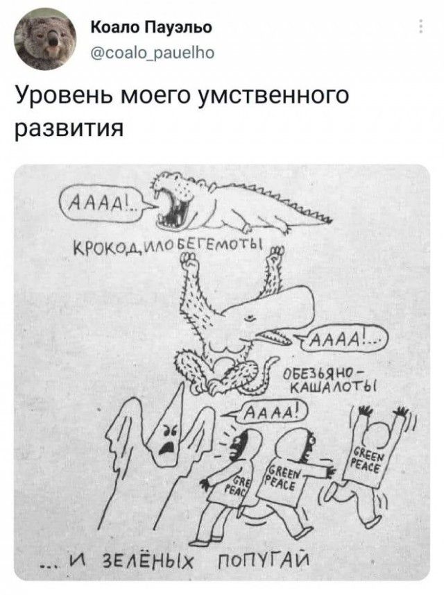 Коало пауэльо соаораие!но уровень моего умственного развития крокод.илобегемоты д в обезьяно  г кашаяаоты и велёных  попугай