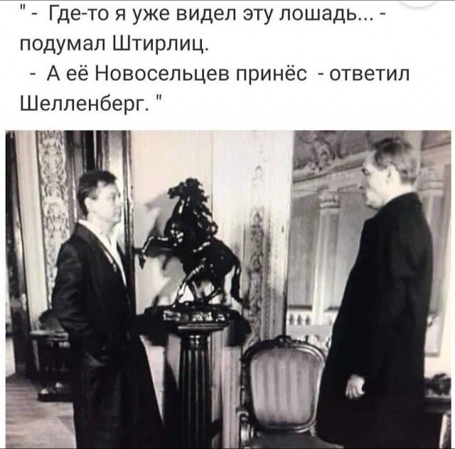 Где то я уже видел эту лошадь подумал Штирлиц А её Новосельцев принёс ответил Шелленберг