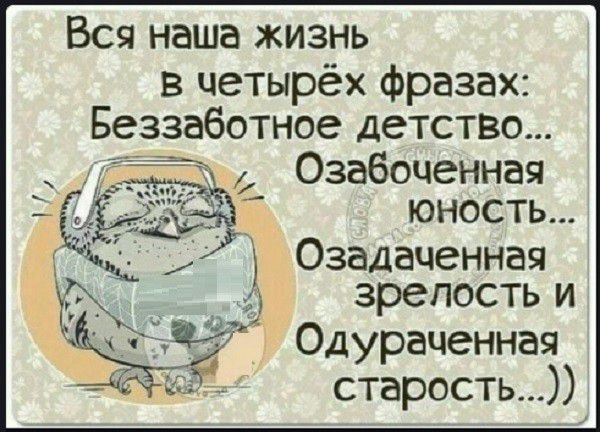 Вся наша жизнь в четырёх фразах: беззаботное детство...  Озабоченная : юность... :  озадаченная ъ а  зрелость и е .27 одураченная с старость...