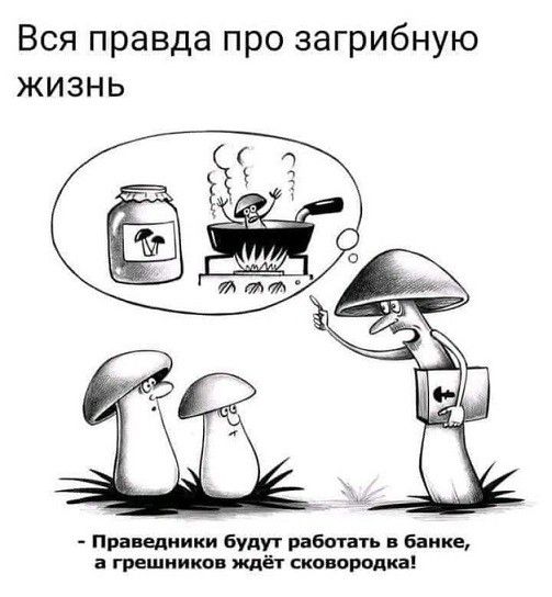 Вся правда про загрибную жизнь  праведники будут работать в банке, а грешников ждёт сковородка!