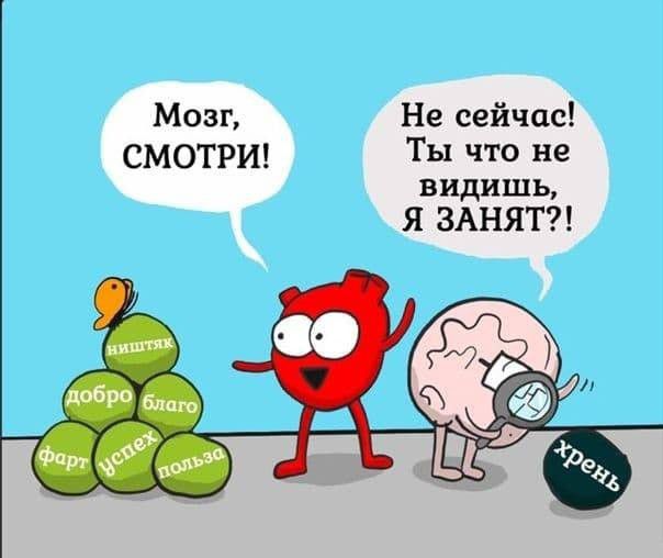 Мозг Не сейчас СМОТРИ Ты что не видишь Я ЗАНЯТ