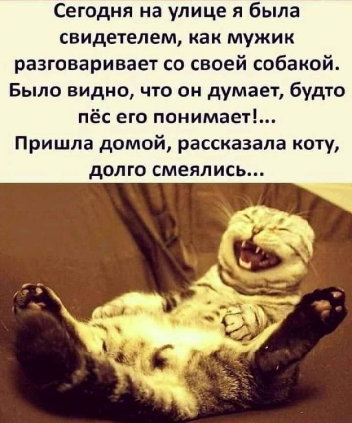 Сегодня на улице я была свидетелем, как мужик разговаривает со своей собакой. Было видно, что он думает, будто пёс его понимает!.. Пришла домой, рассказала коту, долго смеялись...