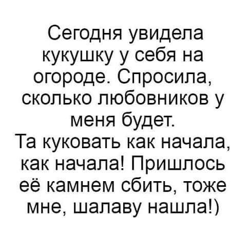 Сегодня увидела кукушку у себя на огороде Спросила сколько любовников у меня будет Та куковать как начала как начала Пришлось её камнем сбить тоже мне шалаву нашла
