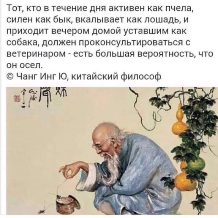 Тот кто в течение дня активен как пчела силен как бык вкалывает как лошадь и приходит вечером домой уставшим как собака должен проконсультироваться с ветеринаром есть большая вероятность что он осел Чанг Инг Ю китайский философ