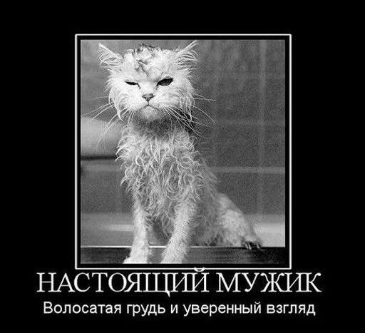 НАСТОЯЦППШ МУЖИК Волосатая грудь и уверенный взгляд