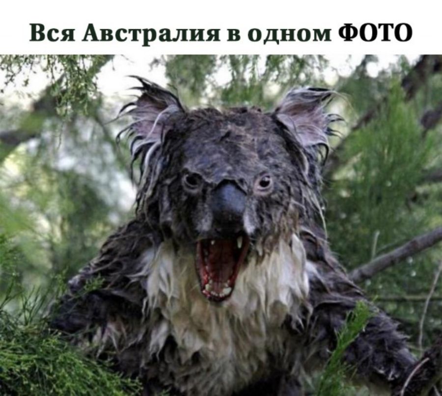 Вся Австралия в одном ФОТО Я дп