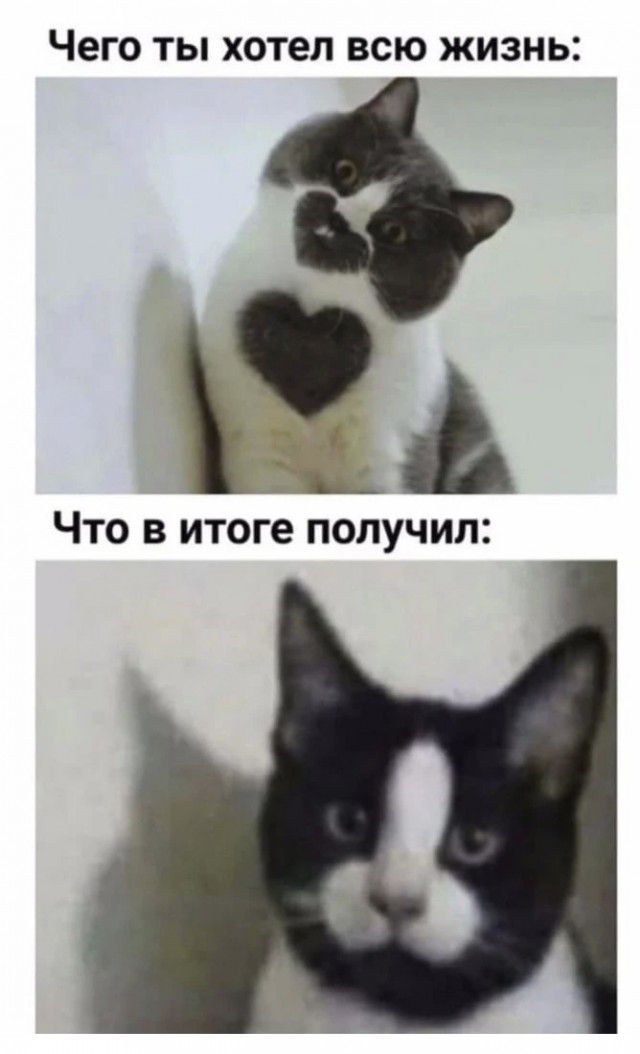ЧЕГО ТЫ хотел ВСЮ ЖИЗНЬ ЦА ЧТО В итоге ПОЛУЧИЛ