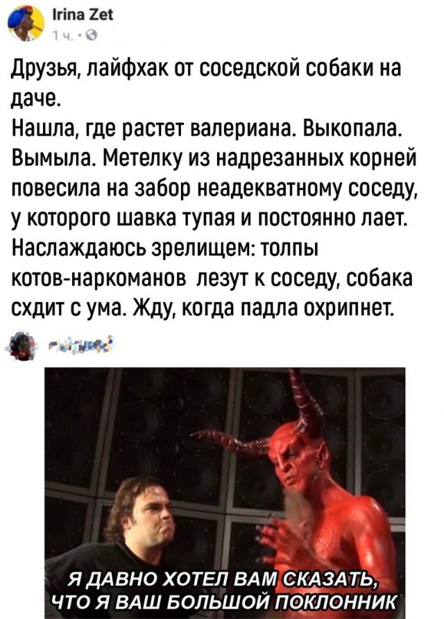 кгіпа 221 друзья лайфхак от соседской собаки на даче Нашла где растет валериана Выкопала Вымыла Метелку из иадреэанных корней повесила на забор неадекватному соседу у которого шавка тупая и постоянно лает Наслаждаюсь зрелищем толпы котов наркоманов лезут к соседу собака схдит с ума Жду когда падпа схрипнет ЯДАВНО ХОТЕЛ ВАМ СКАЗА ТЬ ЧТО Я ВАШ БОЛЬШОЙ ПОКПОННИК