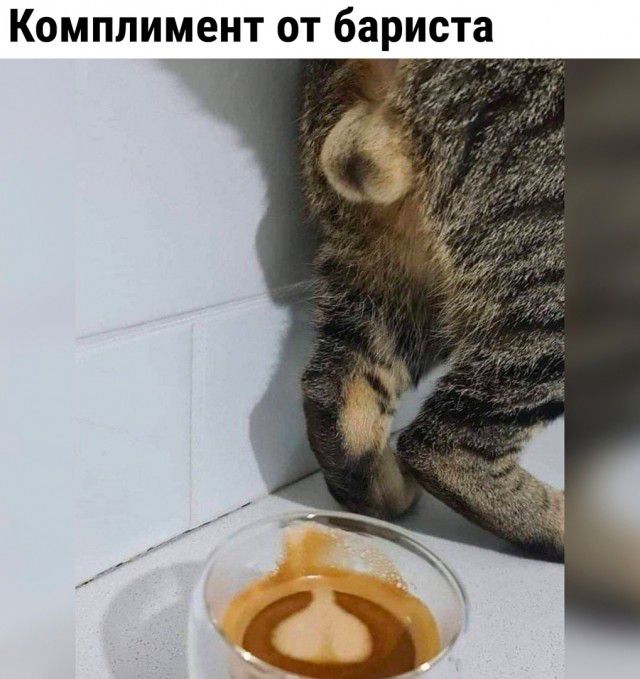 Комплимент от бариста